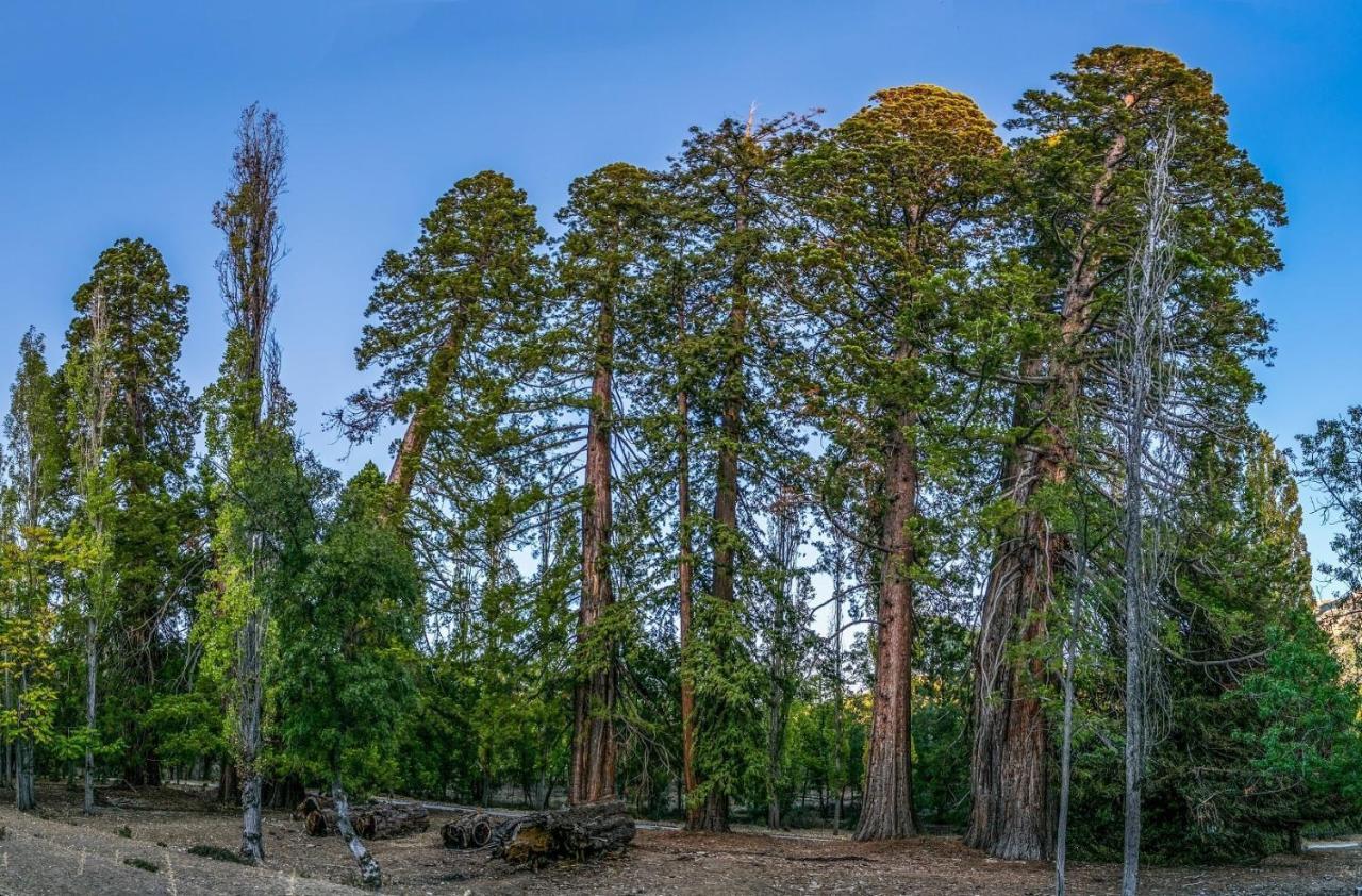 La Noguera Casa Rural Huéscar 외부 사진